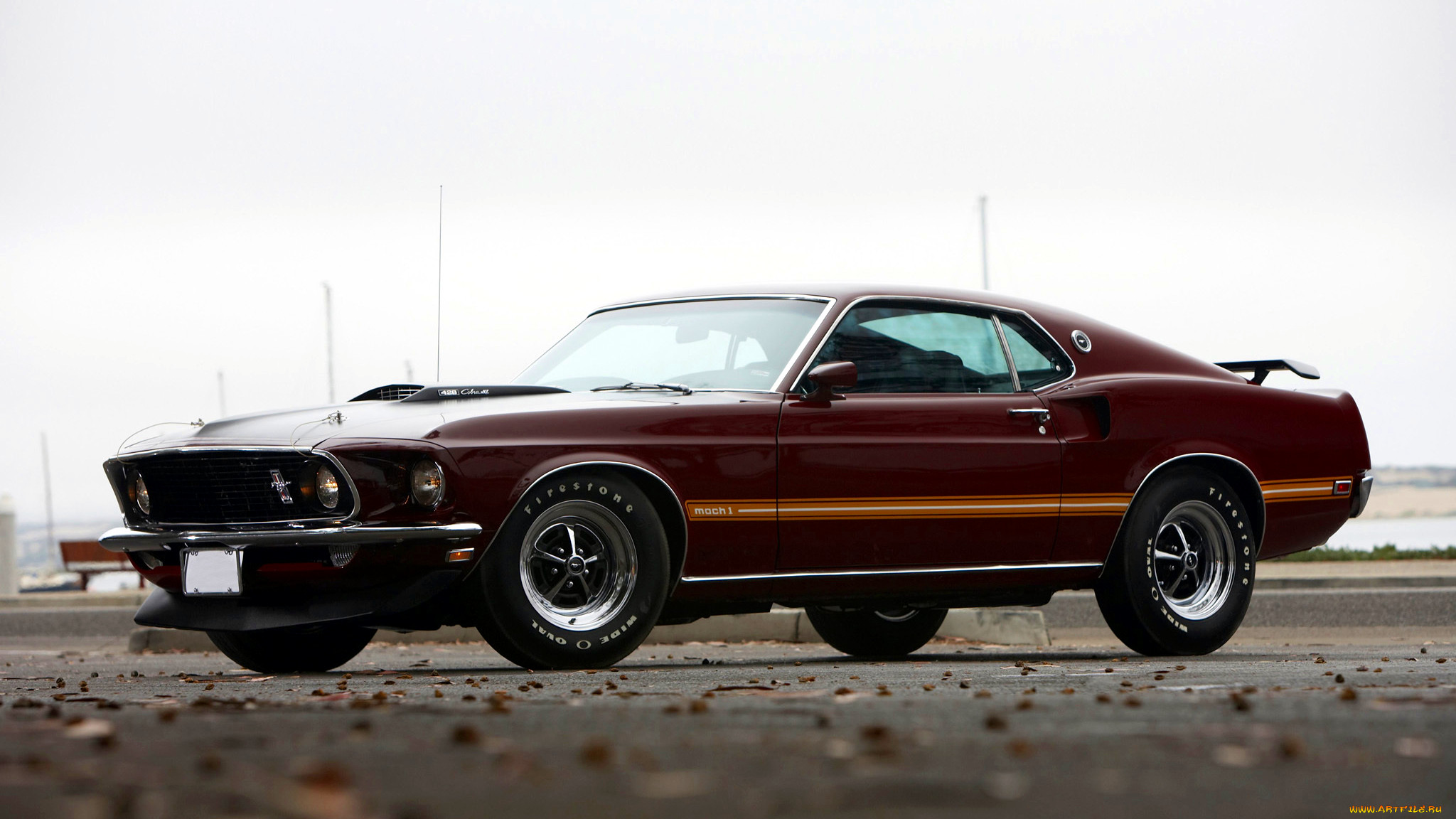 mustang, gt, , ford, motor, company, , , 